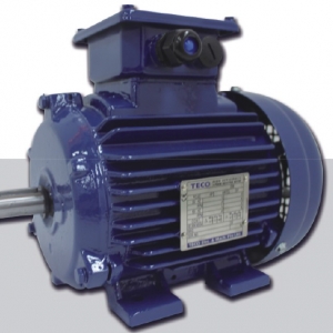 AEEV5N超超高效三相異步電機（MODEL:TEV5）